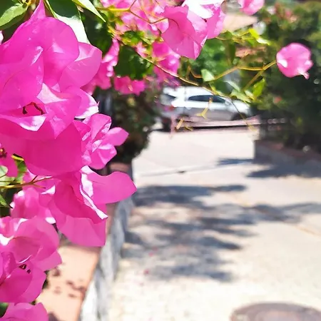 Only Blue Terrace Life 公寓 *